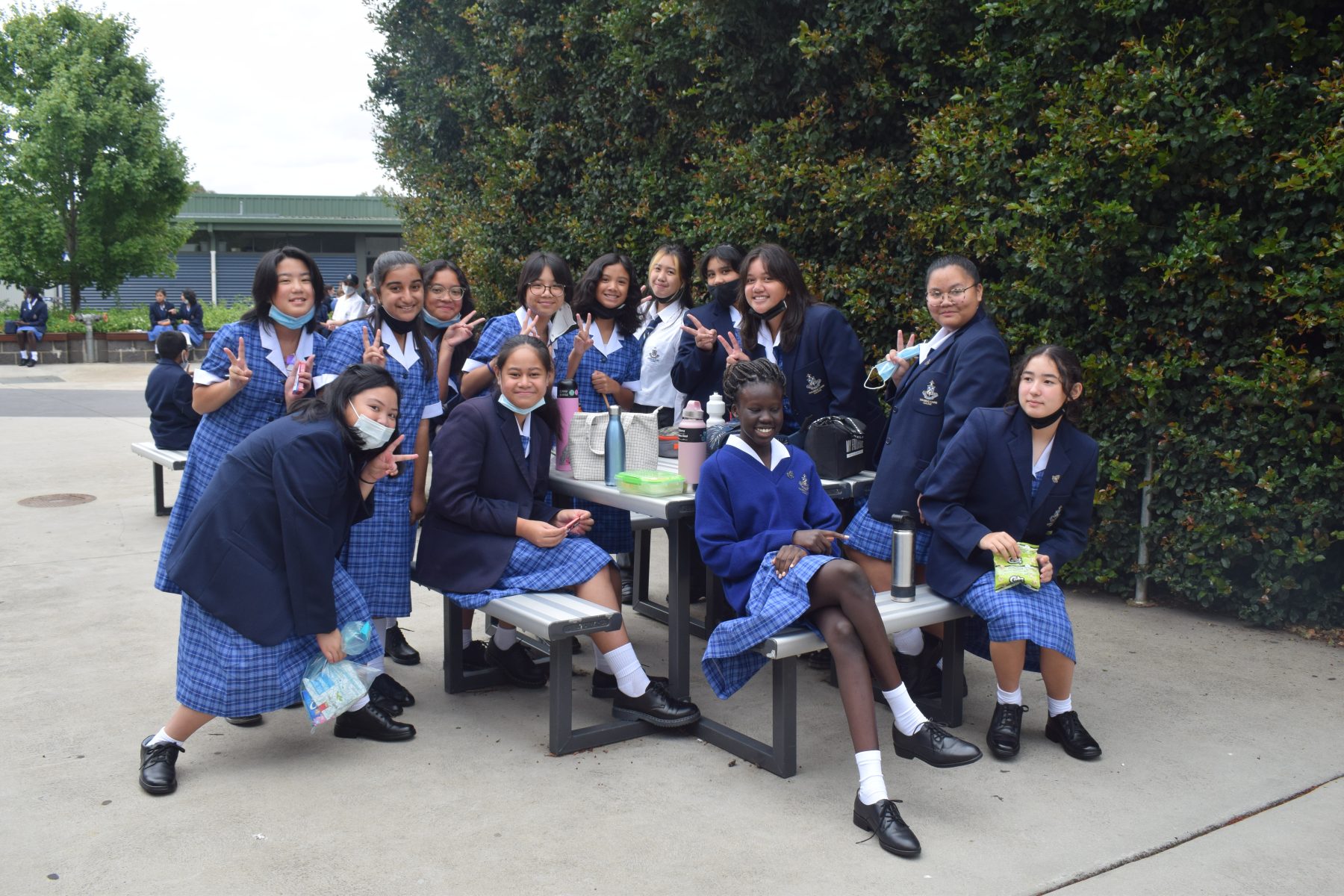 Transition Program Thomas Carr College